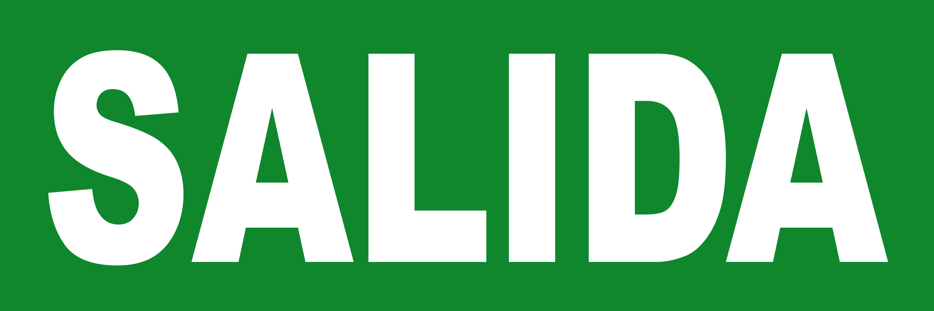 SALIDA - 20X6.5cm - Sticker/autocollant