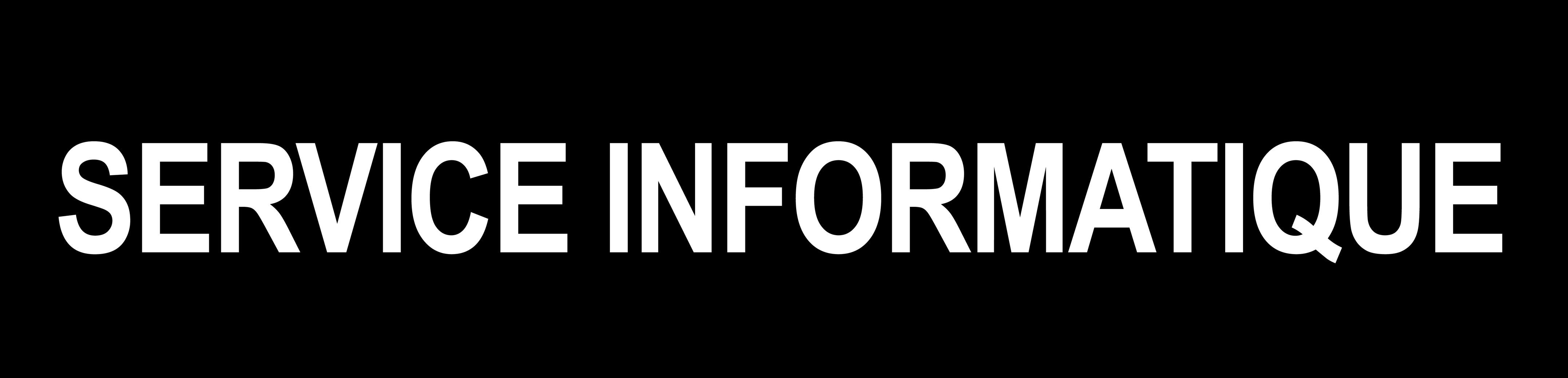 Local SERVICE INFORMATIQUE noir (15x3.5cm) - Sticker/autocollant