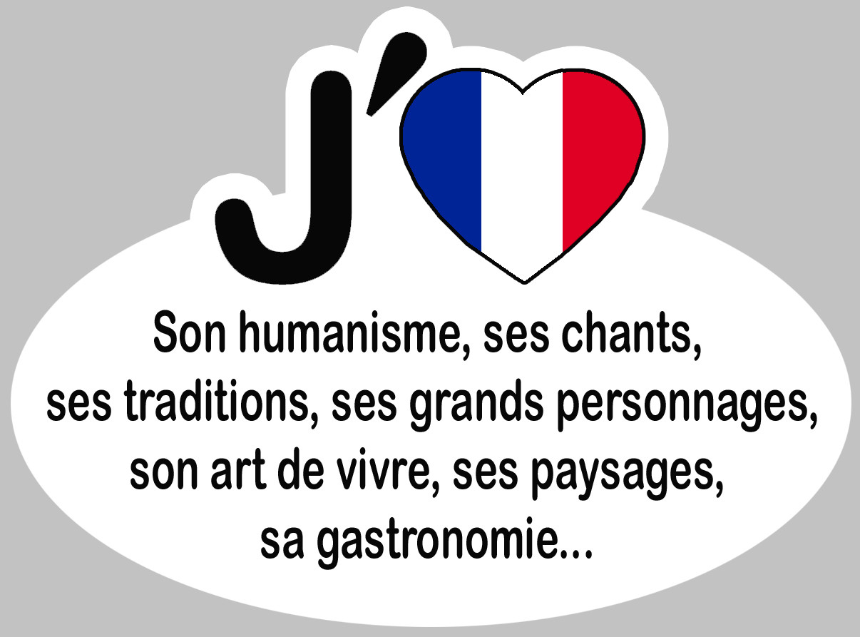 J'aime la France - 15x11cm - Sticker/autocollant