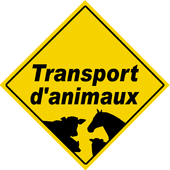 Transport d'animaux - 29x29cm - Sticker/autocollant