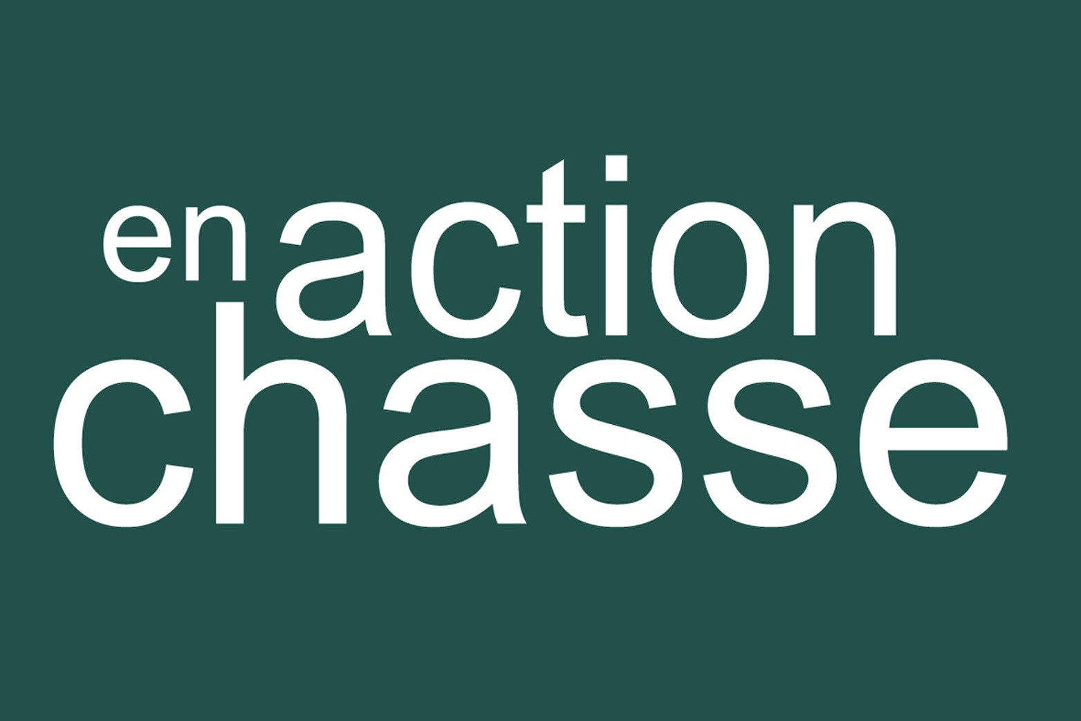 En action de chasse  - Vert (10x6.5cm) - Sticker/autocollant