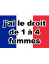 Droit coran femmes - 29x19cm - Sticker/autocollant