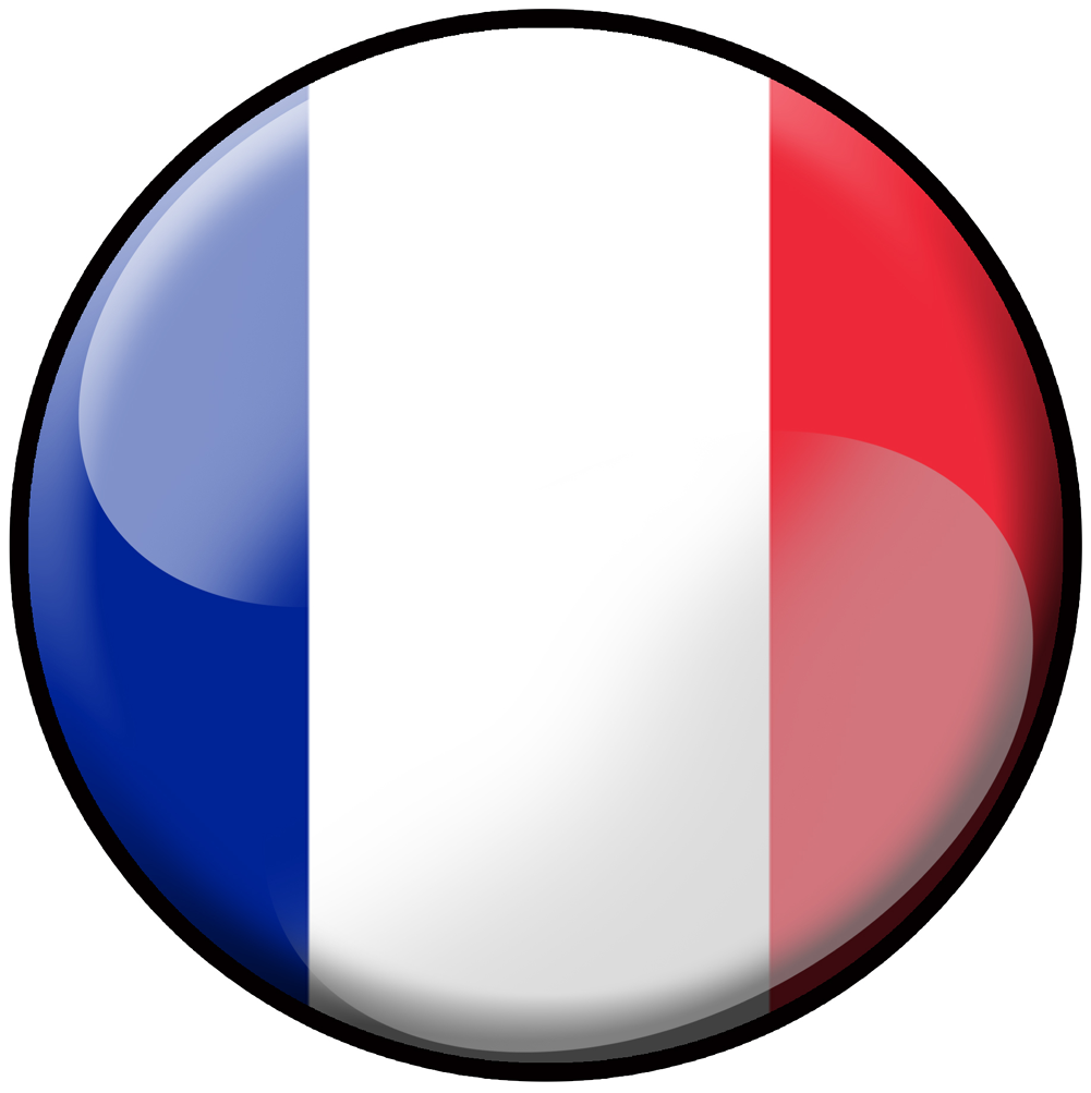 Autocollant Lyonnais 15x4cm - Sticker Vitrine Et Support Pour Fans De Lyon